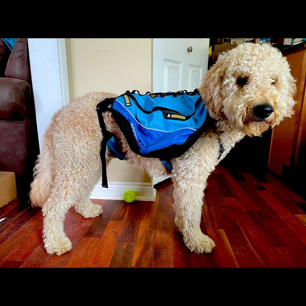 Ruffwear Approach Pack
